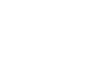 Natural Acne Clinic Logo